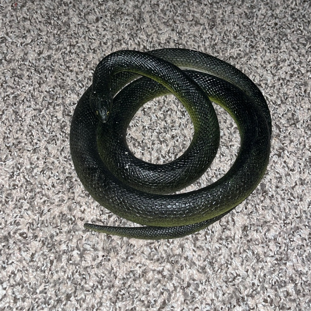 Toy snake